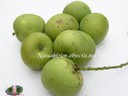 Mango pomme liane(mango ponm di lienn) - thumbnail